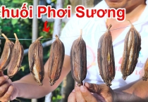 Chuối Phơi Sương – Đặc Sản Dân Dã Đậm Đà Hương Vị Quê Nhà