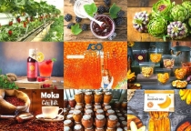 Đặc sản  Đà Lạt – Combo quà biếu & trải nghiệm ẩm thực