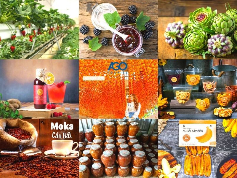 Đặc sản Đà Lạt – Combo quà biếu & trải nghiệm ẩm thực
