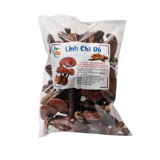  Linh Chi Đỏ