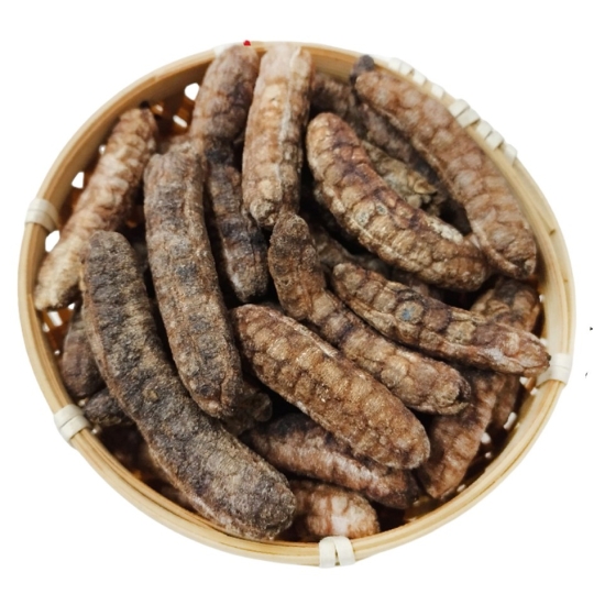  Chuối hột Tây Nguyên
